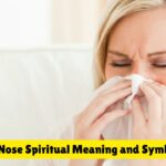 Itchy Nose Spiritual Meaning and Symbolism