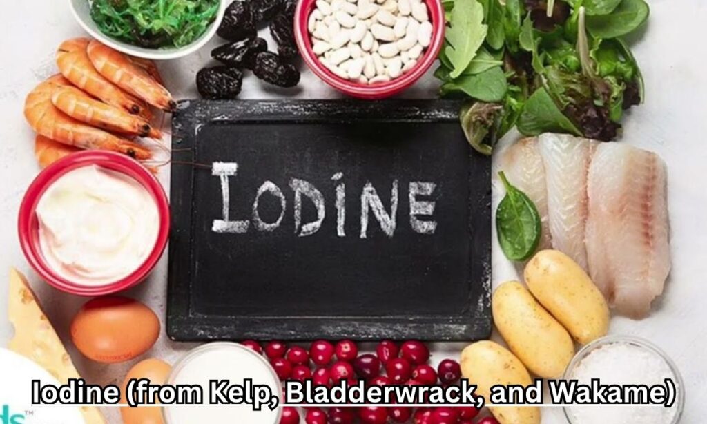 3. Iodine (from Kelp, Bladderwrack, and Wakame)