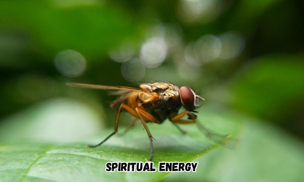 Spiritual Energy