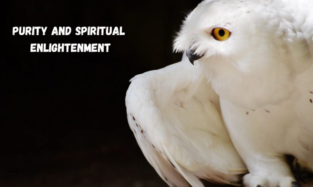 Purity and Spiritual Enlightenment