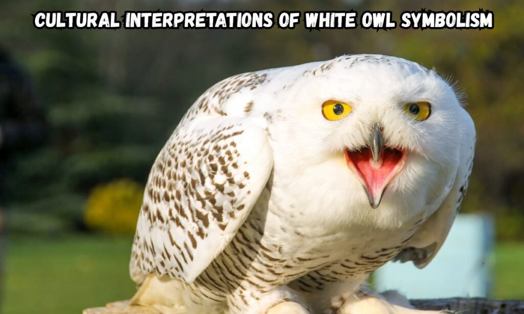 Cultural Interpretations of White Owl Symbolism
