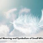 The Spiritual Meaning and Symbolism of Small White Feathers