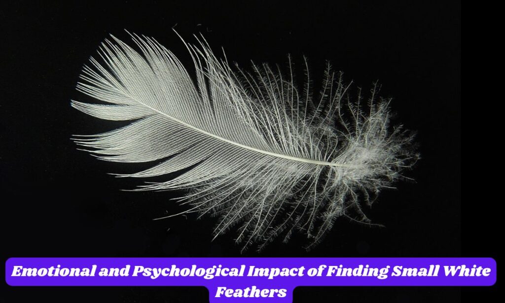 Emotional and Psychological Impact of Finding Small White Feathers
