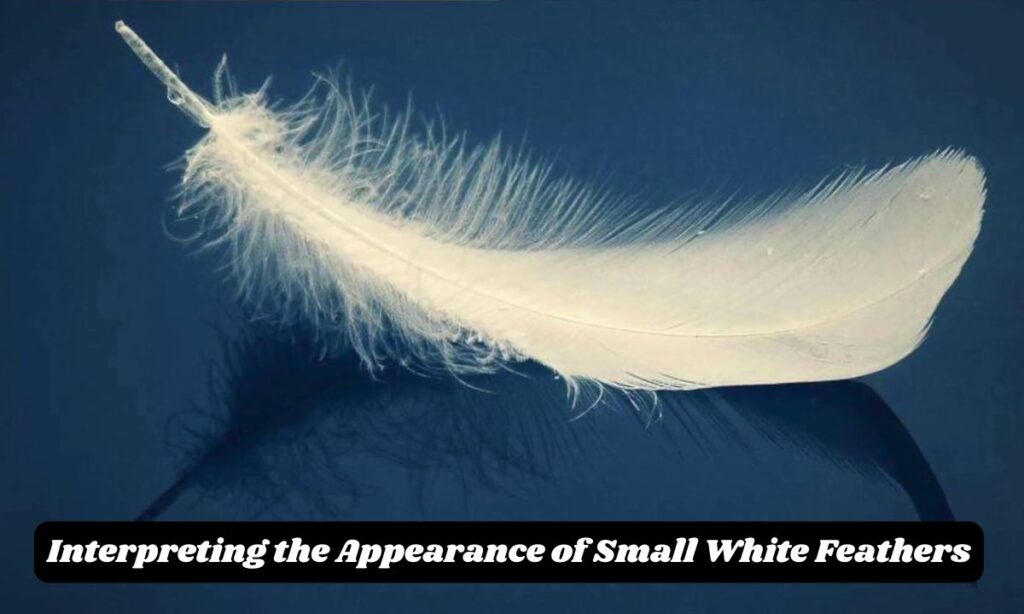 Interpreting the Appearance of Small White Feathers