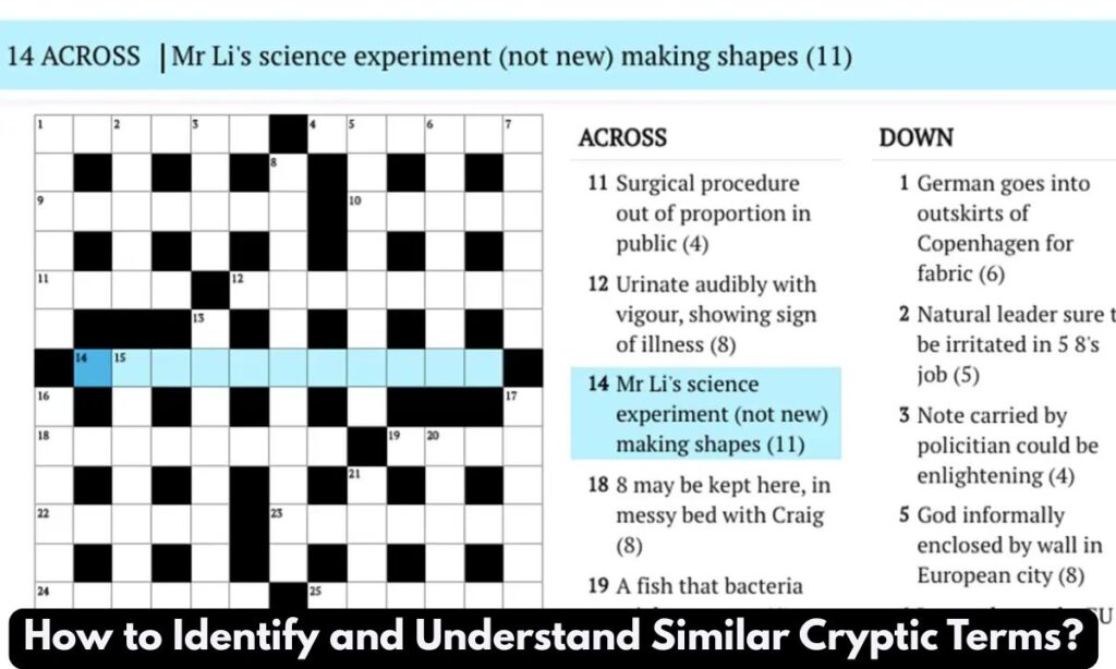 How to Identify and Understand Similar Cryptic Terms?