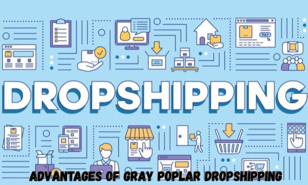 Advantages of Gray Poplar Dropshipping