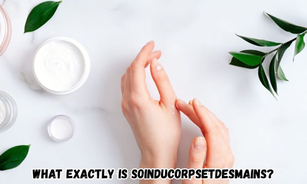 What Exactly Is soinducorpsetdesmains?