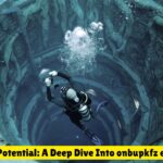 Unlocking Potential: A Deep Dive Into onbupkfz esfp vhaxvr