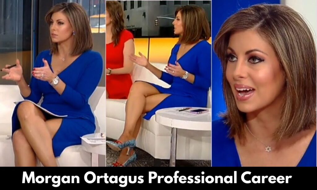 Morgan Ortagus Professional Career