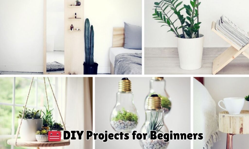 🧰 DIY Projects for Beginners